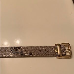 Yosef H Python Bracelet